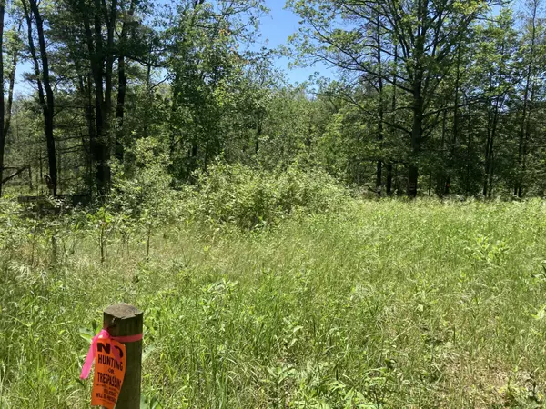 Idlewild, MI 49642,639 E Richmond