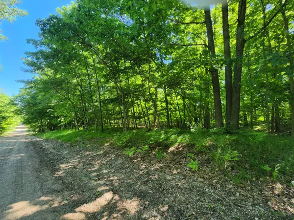 Canadian Lakes, MI 49346,10152 Mountain View Trail