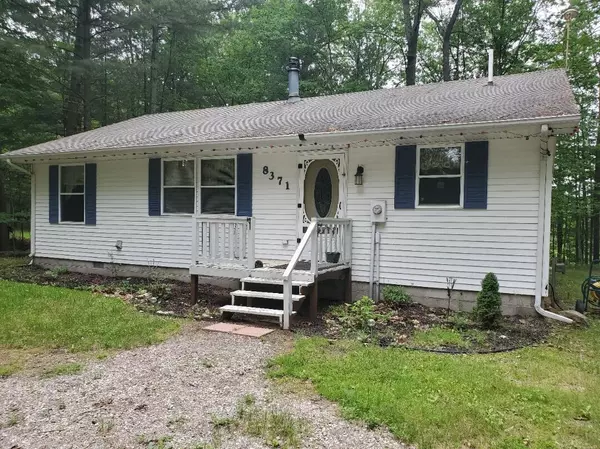 8371 W Bluegill Drive, Irons, MI 49644