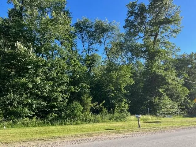 11874 Fillmore Street, West Olive, MI 49460