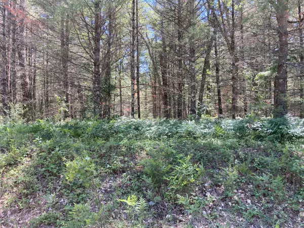 Baldwin, MI 49304,6159 S Forman Road