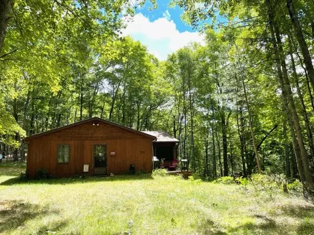 Chase, MI 49623,4219 E Creek Wood Drive