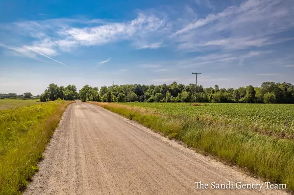 Nunica, MI 49448,V/L Fitzgerald Street