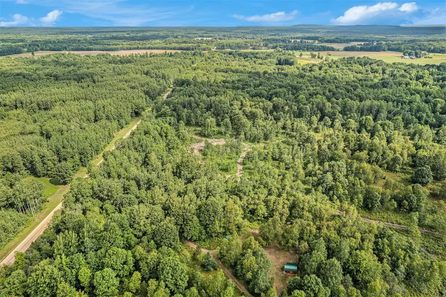 40 Acres Larson Road, Free Soil, MI 49411
