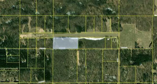 Shelby, MI 49455,10 Acres W Weaver Road