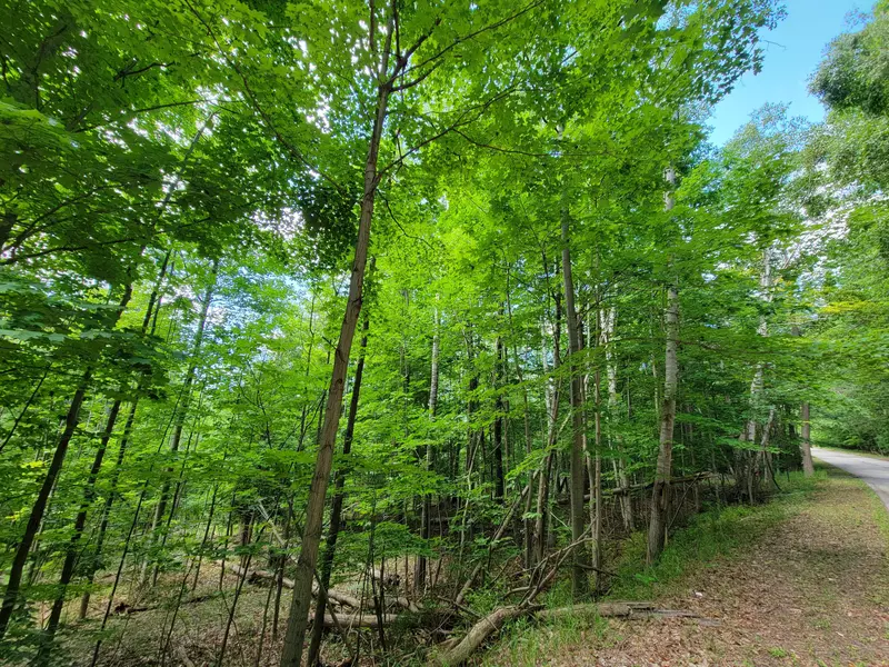 4.13 Acres Memorial Drive, Onekama, MI 49675