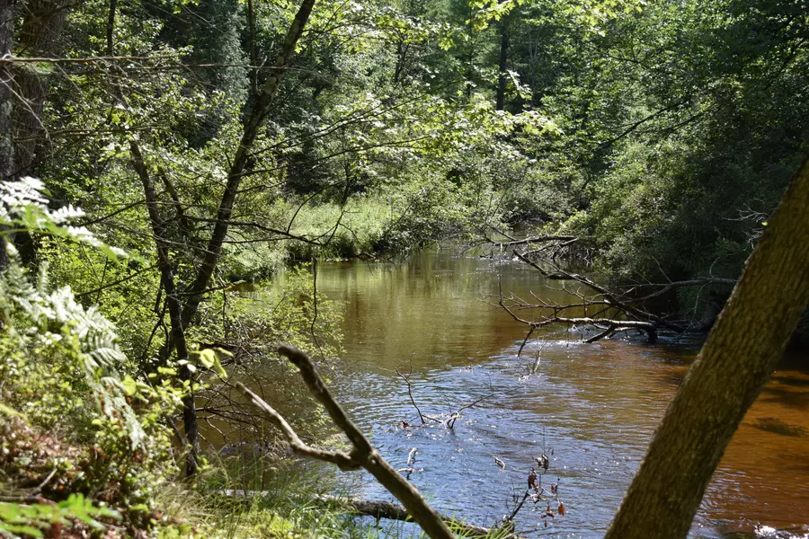 00 W 88th Street, Baldwin, MI 49304