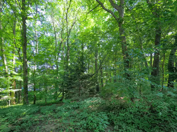 Kalamazoo, MI 49009,6392 Nightingale Avenue