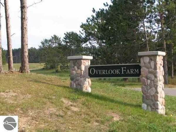 LOT #9 S MEADOW Drive,  Cadillac,  MI 49601