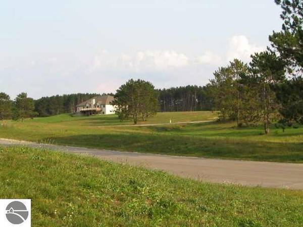 LOT #10 S MEADOW Drive,  Cadillac,  MI 49601