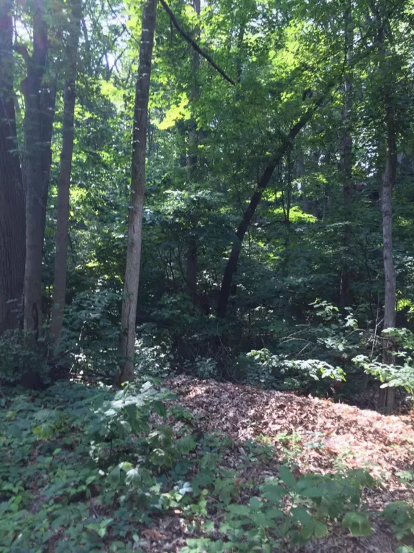 Bridgman, MI 49106,Dunewood Drive #Lot 21