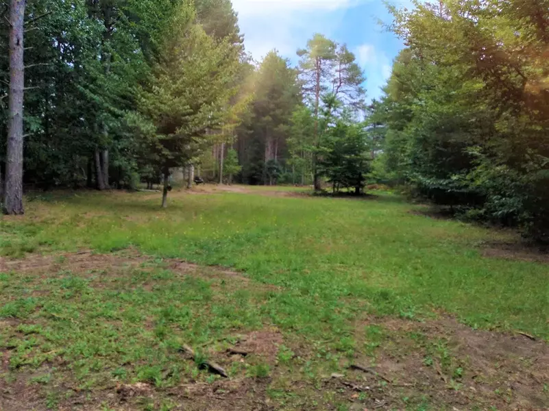 0 W Hazel Road, Mears, MI 49436