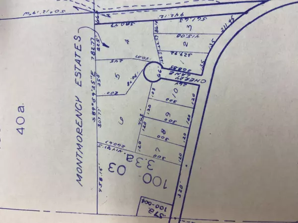 Mears, MI 49436,Juniper Beach Road