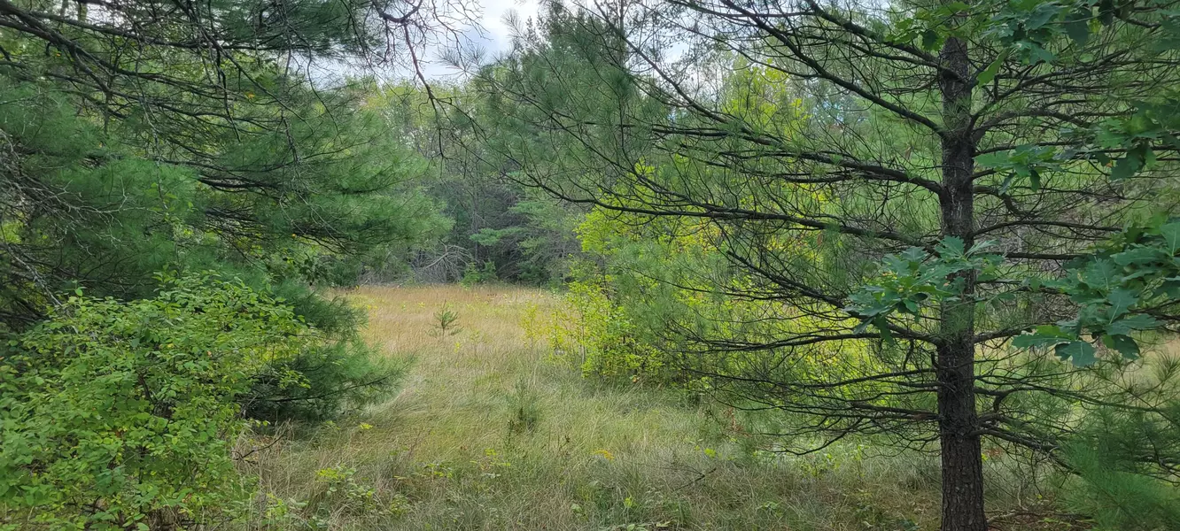 5306 S Nelson Road, Idlewild, MI 49642