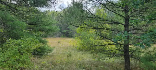 Idlewild, MI 49642,5306 S Nelson Road