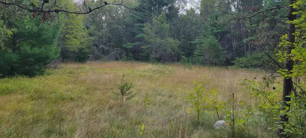 Idlewild, MI 49642,5306 S Nelson Road