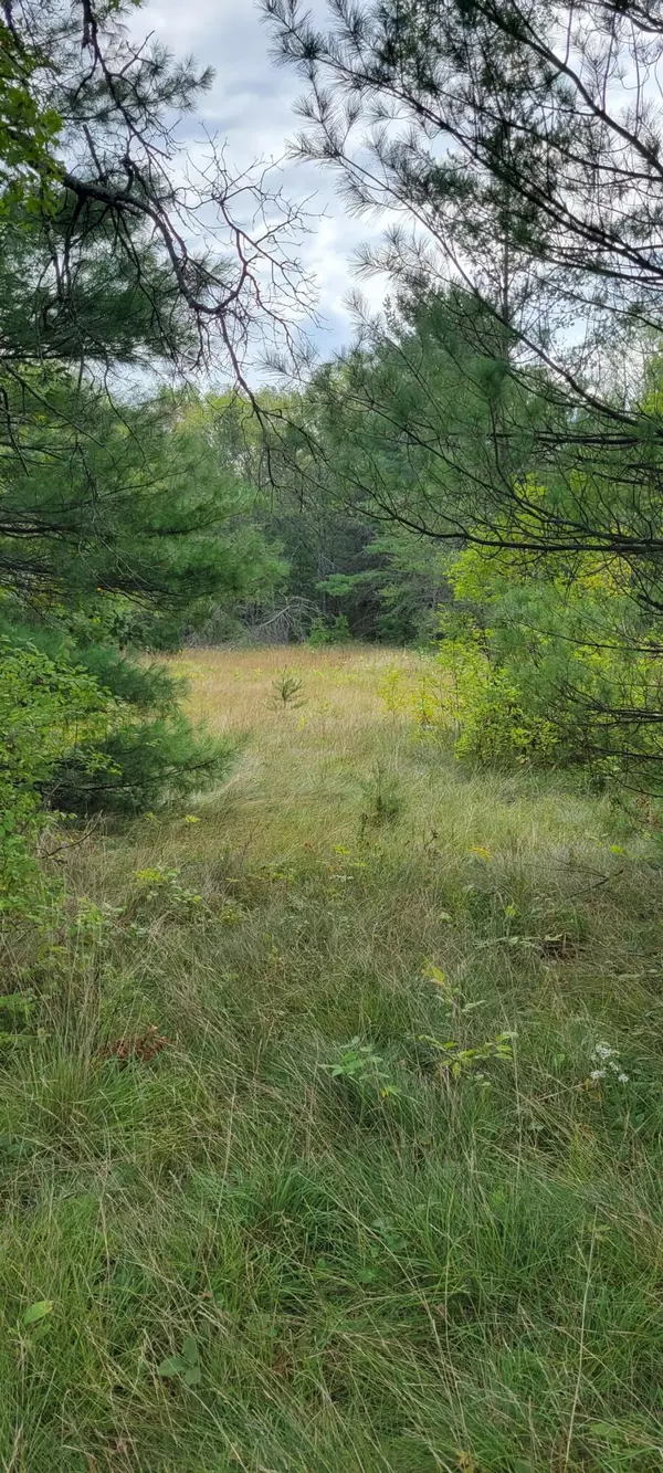 Idlewild, MI 49642,5306 S Nelson Road