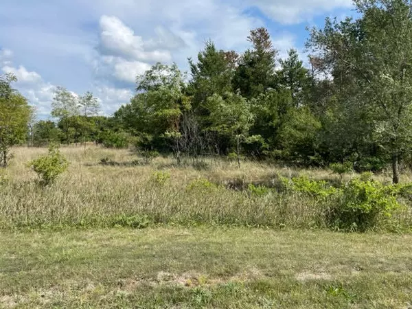 Manistee, MI 49660,Willow