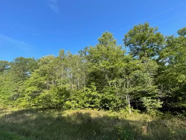 Chase, MI 49623,20 Acres Vacant Land Frank Smith Road