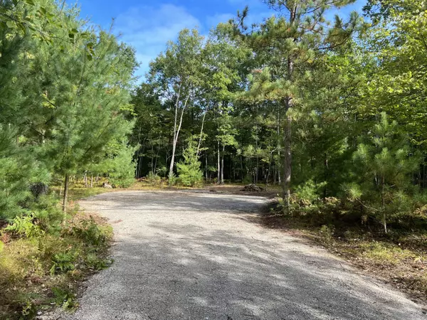 V/L W Mavis Rd- Parcel D, Ludington, MI 49431