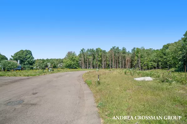 Spring Lake, MI 49456,18154 Newgate Lane #Lot 14