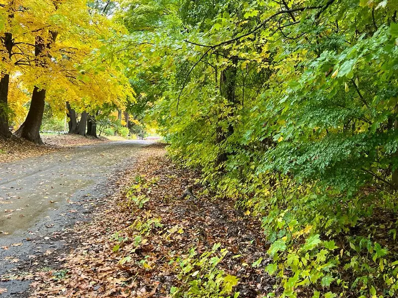 Gorton Road, Grass Lake, MI 49240