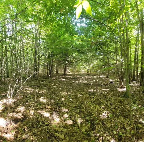 Onekama, MI 49675,Opal Ridge Drive #Lot 70