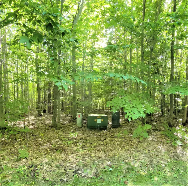 Onekama, MI 49675,Opal Ridge Drive #Lot 70