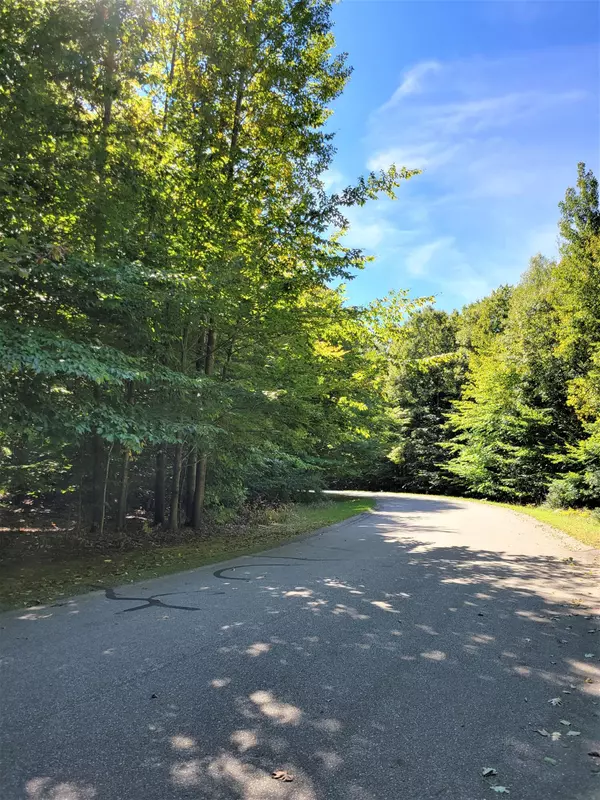 Onekama, MI 49675,Opal Ridge Drive #Lot 70