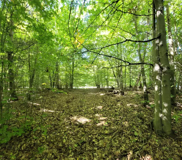 Onekama, MI 49675,Opal Ridge Drive #Lot 71