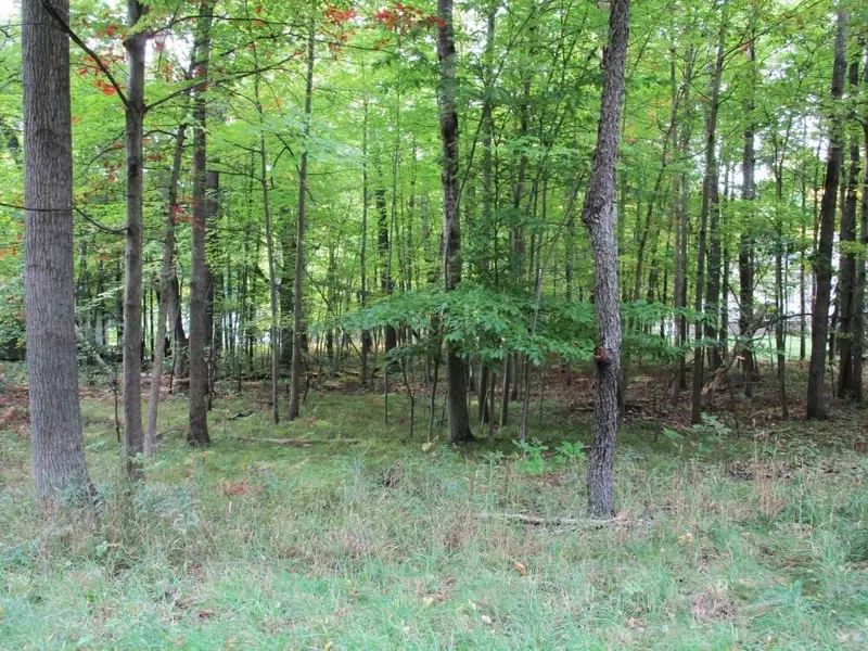 8478 Highland Trail #7, Stanwood, MI 49346