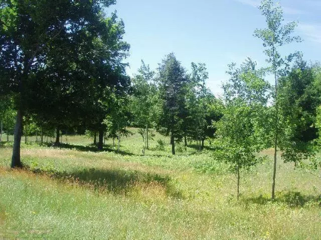 Wildflower Lane #Parcel AA, Onekama, MI 49675