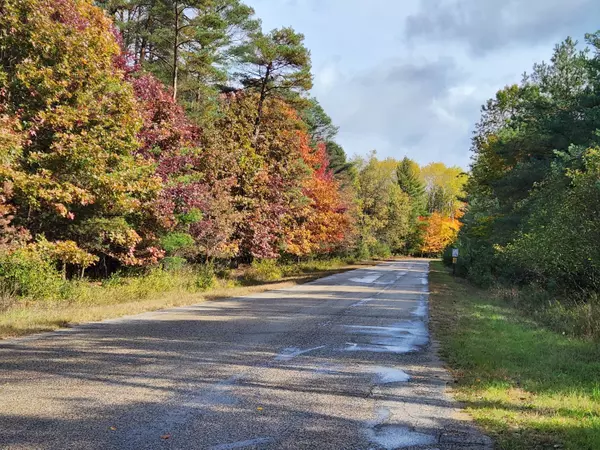 Canadian Lakes, MI 49346,10952 Dobbyn Drive