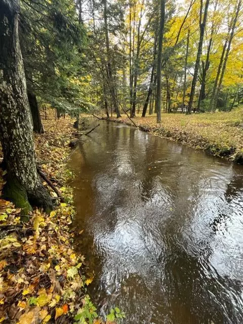 Hesperia, MI 49421,3663 S Cobmoosa Trail