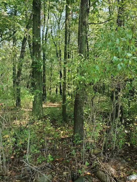 Litchfield, MI 49252,10875 French Road