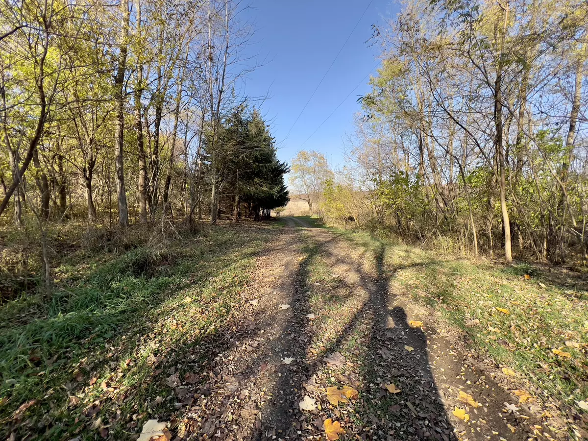 Marshall, MI 49068,22417 B S Drive