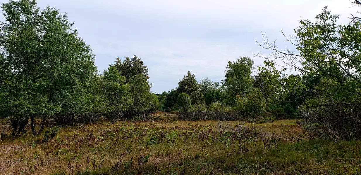 3030 Seymour Street, Onekama, MI 49675