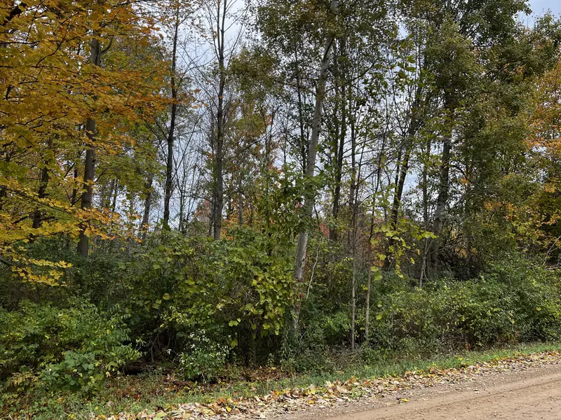 VL 158th Avenue, West Olive, MI 49460