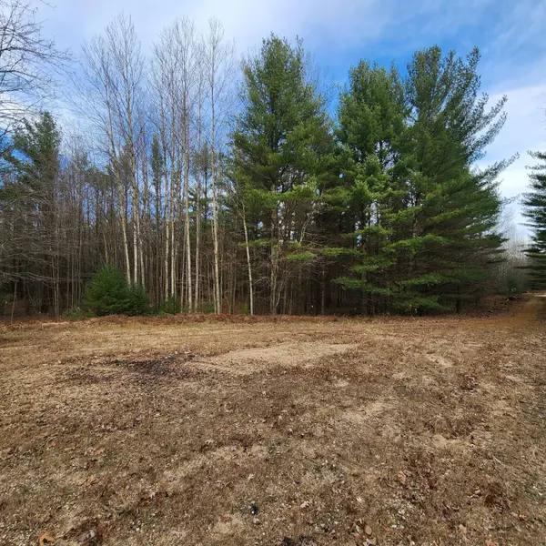 Pentwater, MI 49449,Lot #3 Wayne Rd