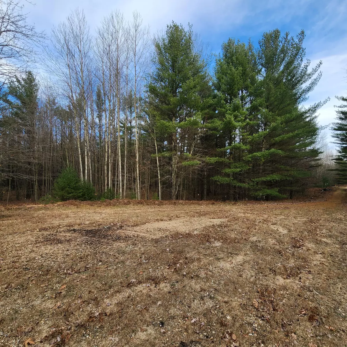 Pentwater, MI 49449,Lot #4 Wayne Rd