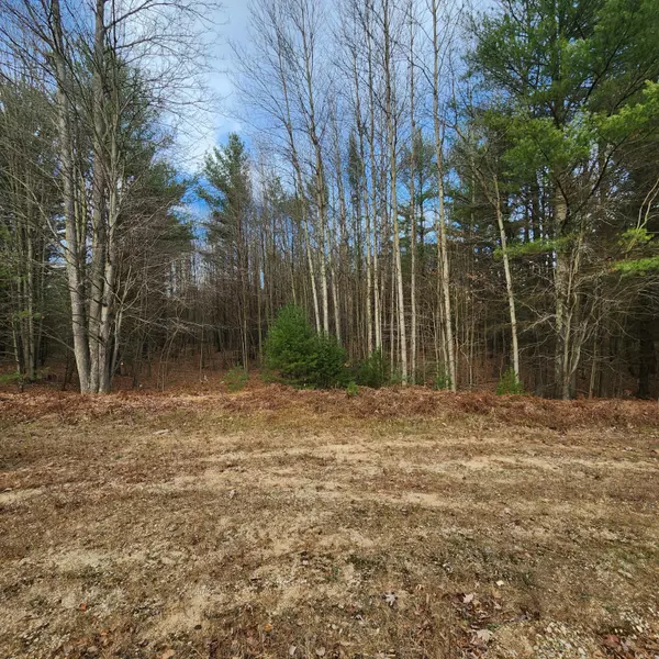 Pentwater, MI 49449,Lot #8 Wayne Rd