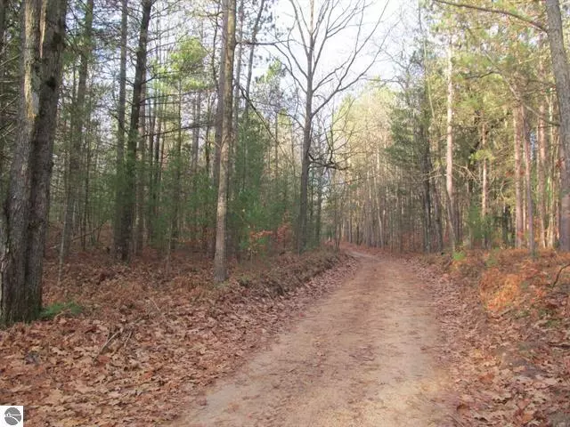 20 Acres Packingham Road, Lake City, MI 49651