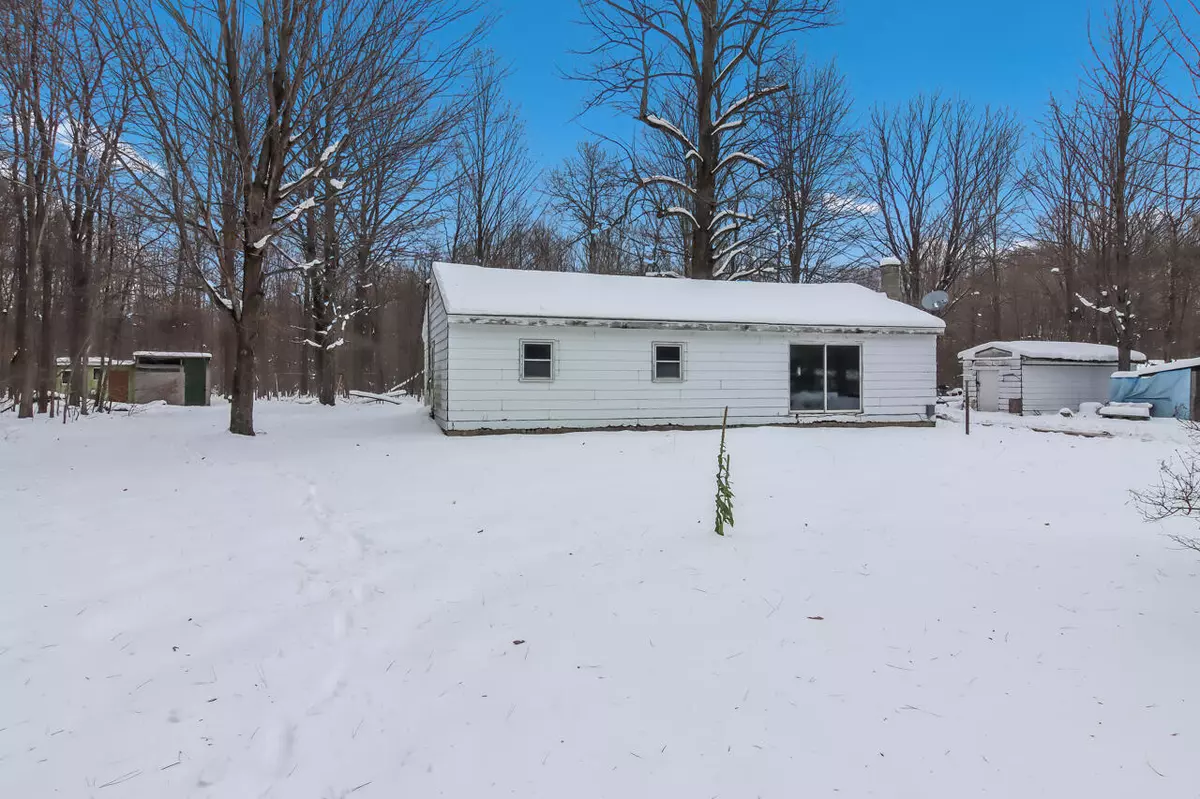 Thompsonville, MI 49683,14790 Woods Trail