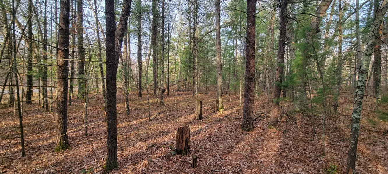 0 S Broadway, Idlewild, MI 49642