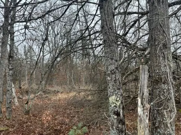 Baldwin, MI 49304,Parcel A Dorsey Drive