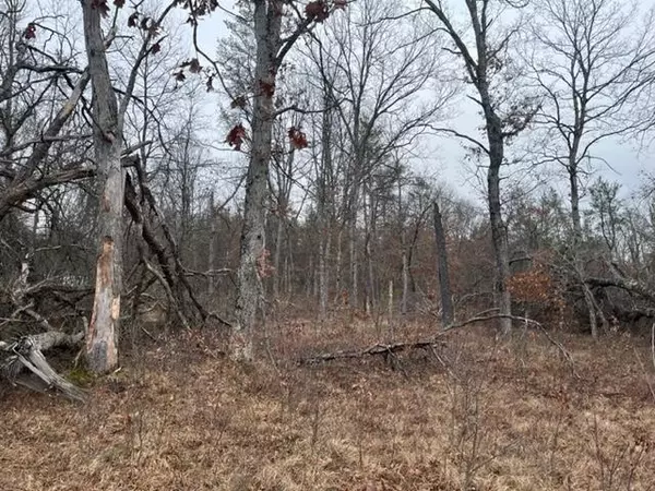 Baldwin, MI 49304,Parcel A Dorsey Drive