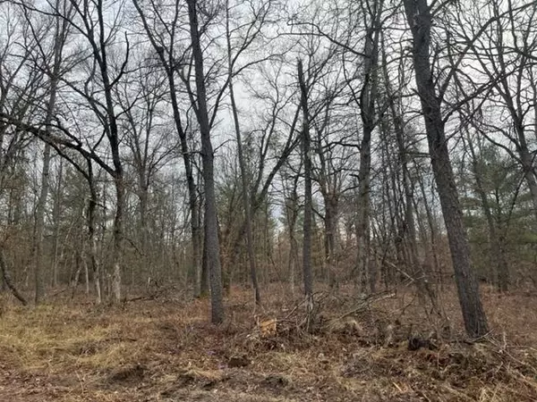 Baldwin, MI 49304,Parcel B Kidd Boulevard