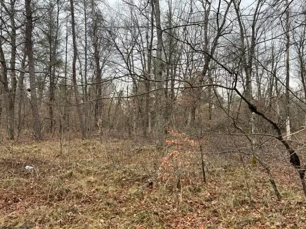 Baldwin, MI 49304,Parcel C Mikes Trail