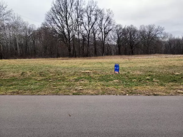 Middleville, MI 49333,Lot #4 Benzel Ct. #Parcel 4