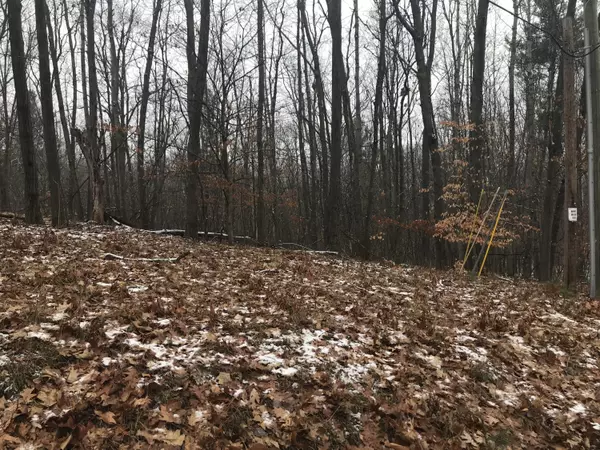 0 Hickory Drive #Lot 642, Lakeview, MI 48850